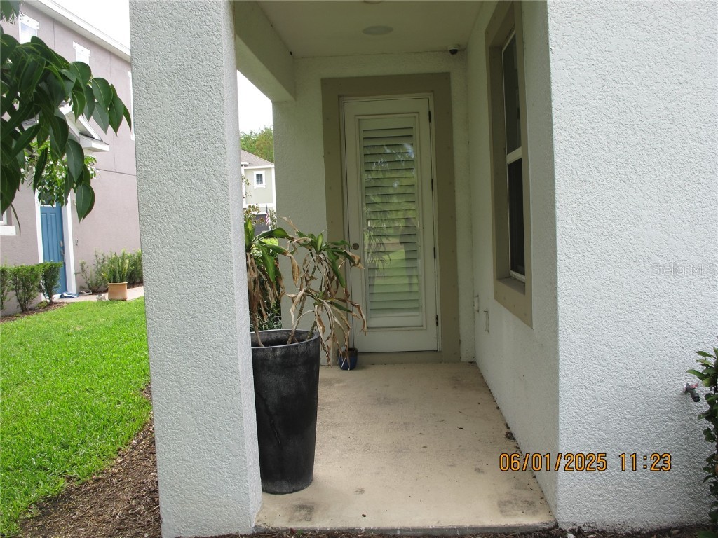 18824 Noble Caspian Drive Lutz FL 33558 TB8394424 image28
