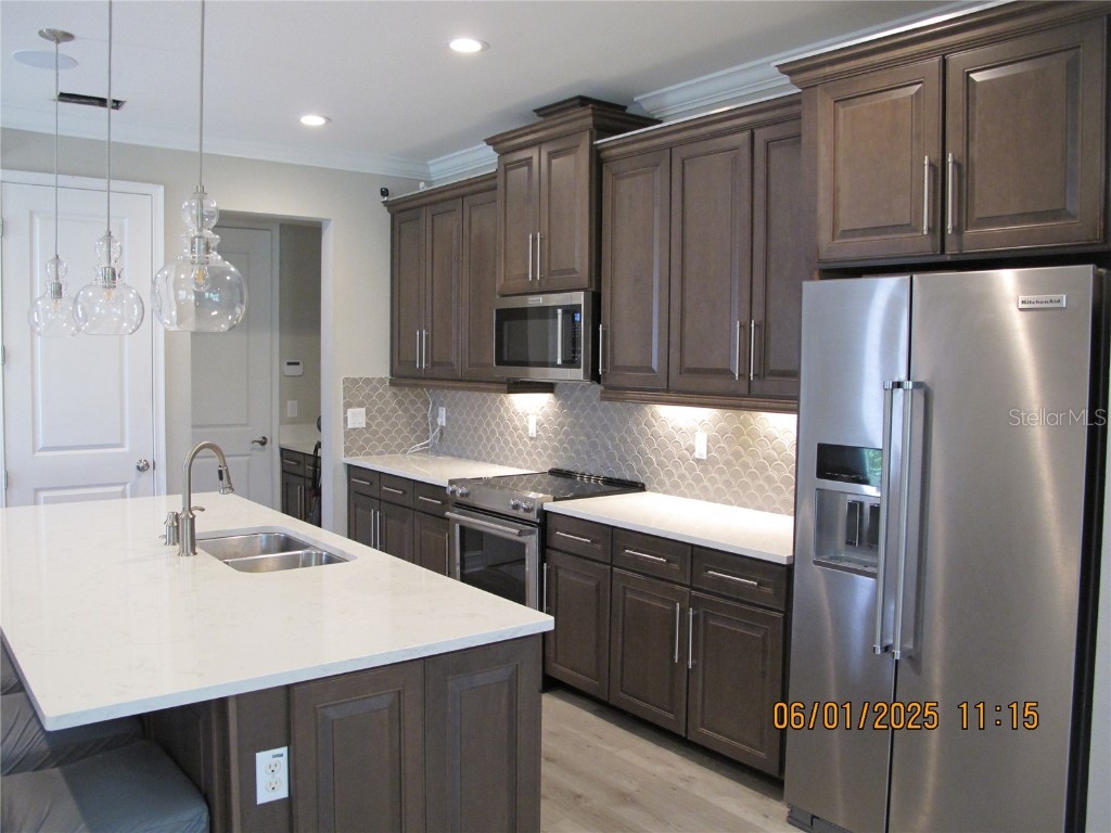 18824 Noble Caspian Drive Lutz FL 33558 TB8394424 image4