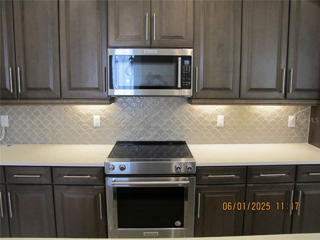 18824 Noble Caspian Drive Lutz FL 33558 TB8394424 image8