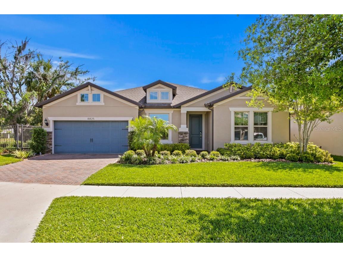 18825 Birchwood Groves Drive Lutz FL 33558 T3519364 image1