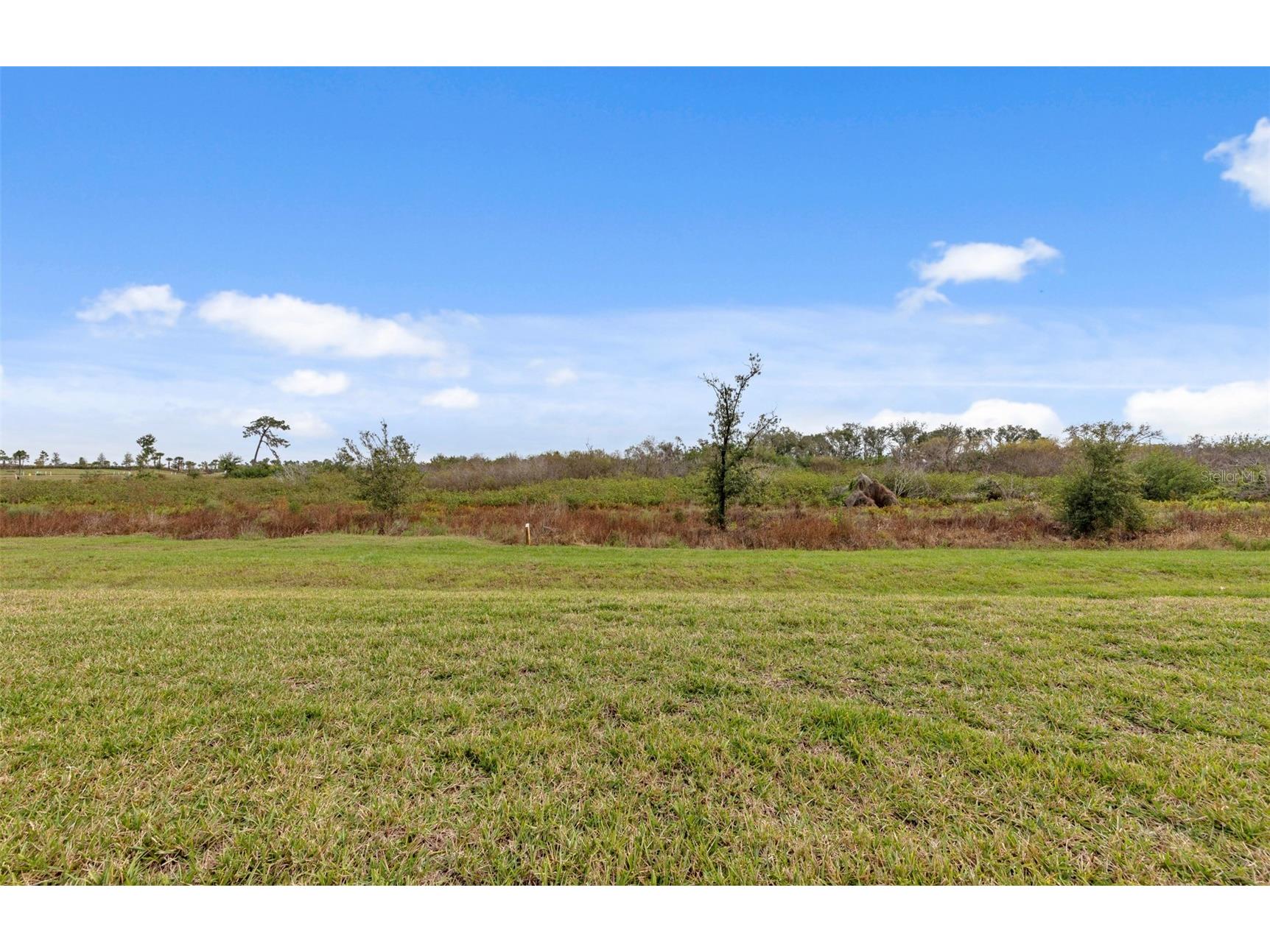 18828 Indian Rock Place Lakewood Ranch FL 34211 TB8437186 image23