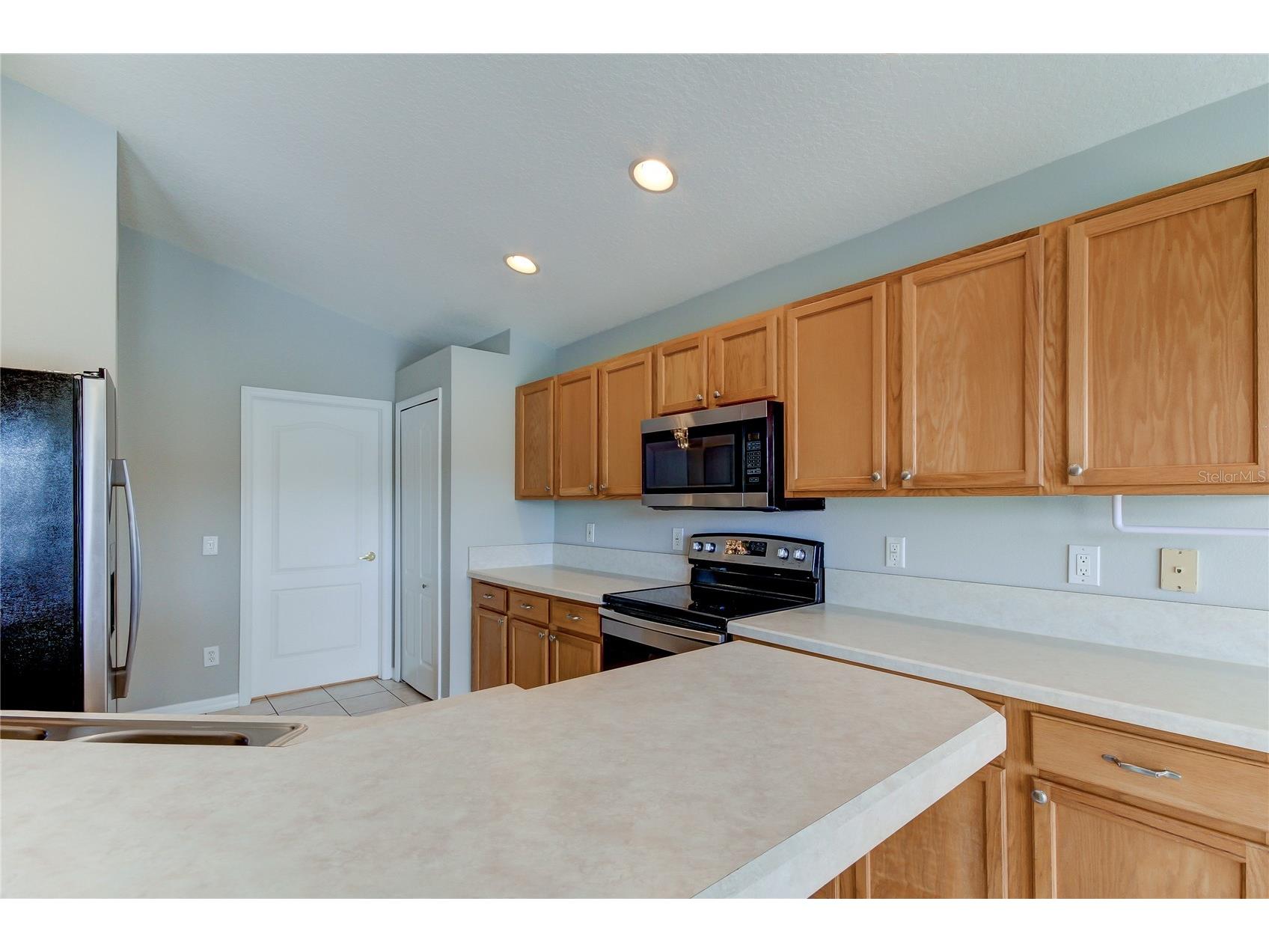 18829 Maisons Drive Lutz FL 33558 TB8513818 image29
