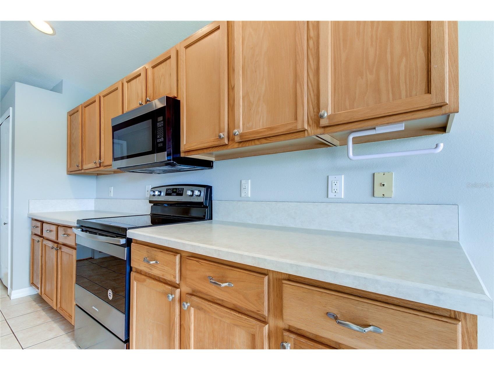 18829 Maisons Drive Lutz FL 33558 TB8513818 image31