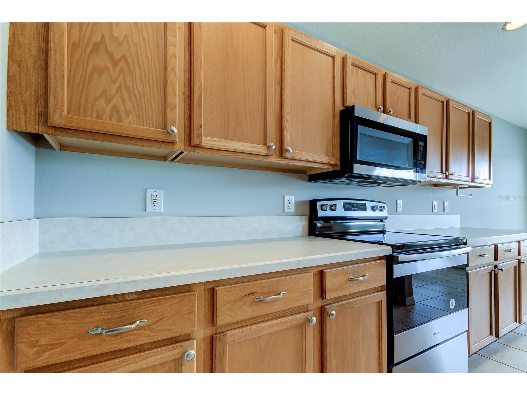18829 Maisons Drive Lutz FL 33558 TB8513818 image32