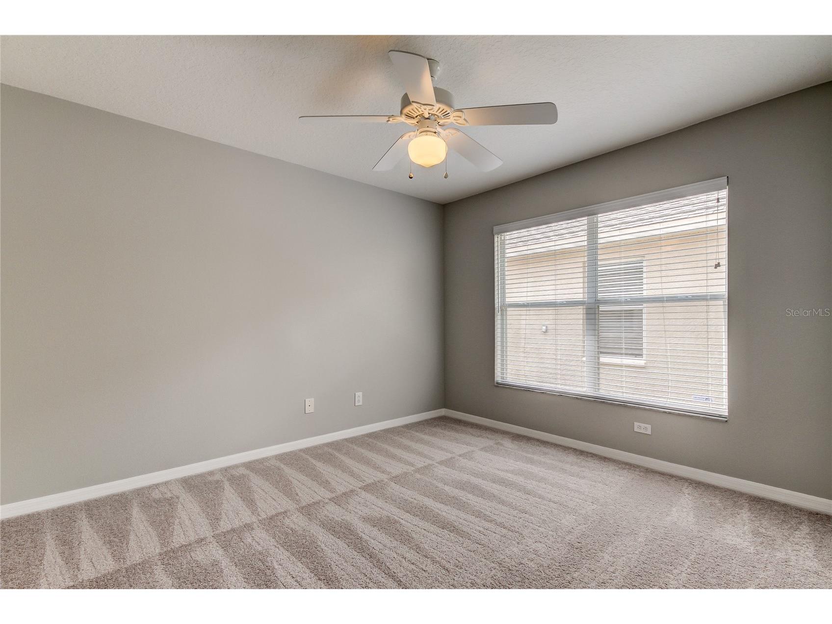 18829 Maisons Drive Lutz FL 33558 TB8513818 image4