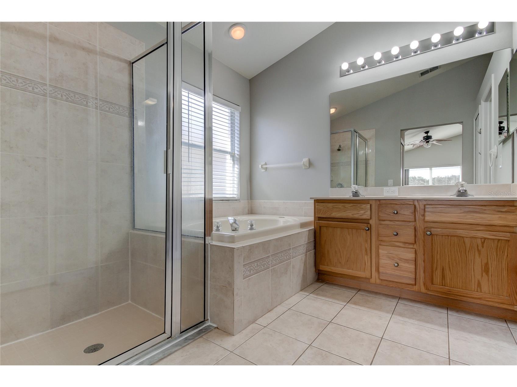 18829 Maisons Drive Lutz FL 33558 TB8513818 image41