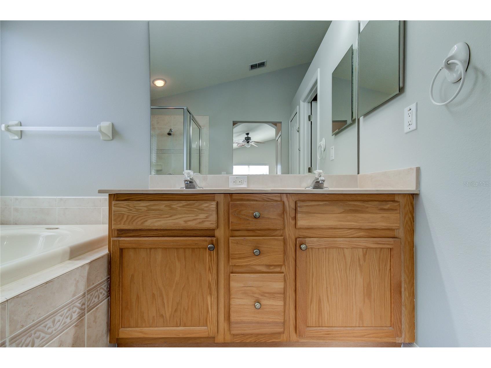 18829 Maisons Drive Lutz FL 33558 TB8513818 image42