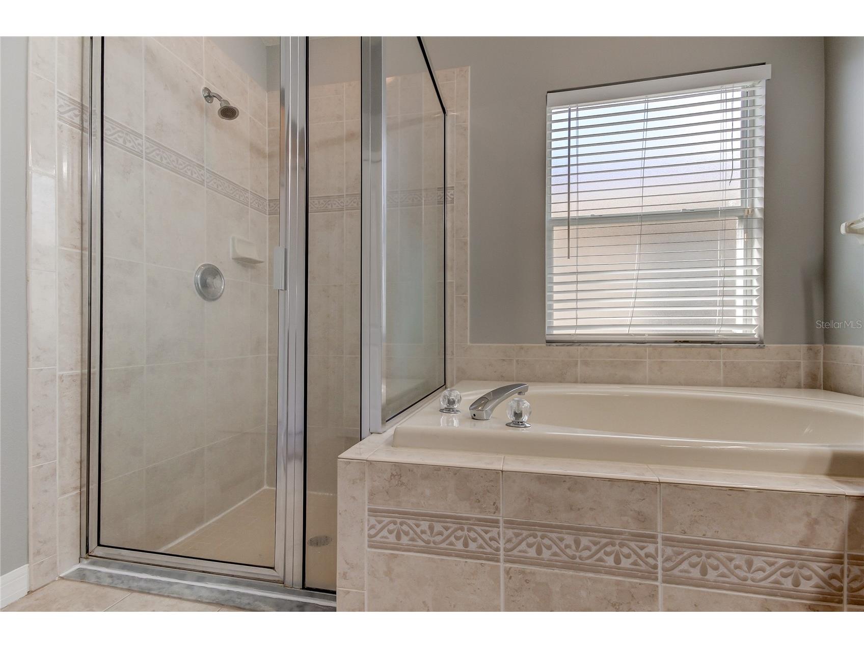 18829 Maisons Drive Lutz FL 33558 TB8513818 image43