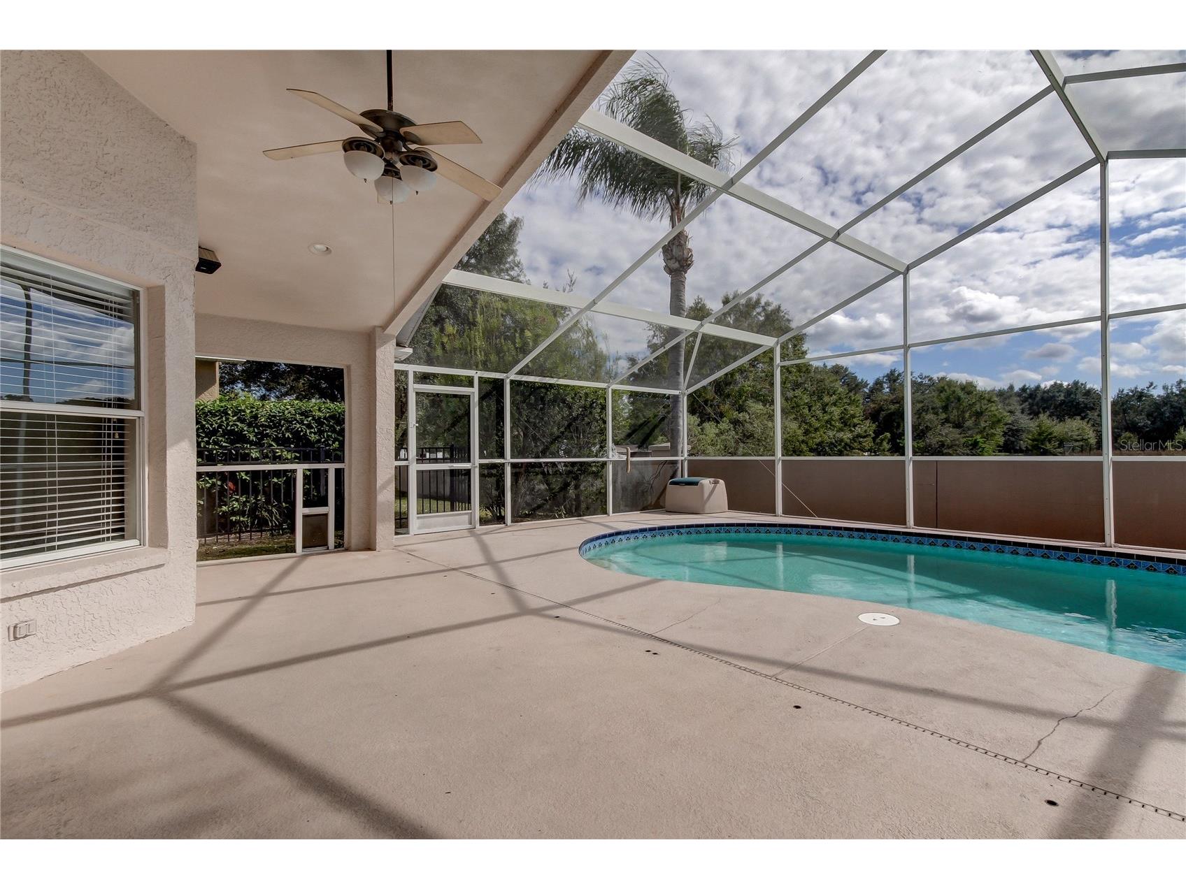 18829 Maisons Drive Lutz FL 33558 TB8513818 image44