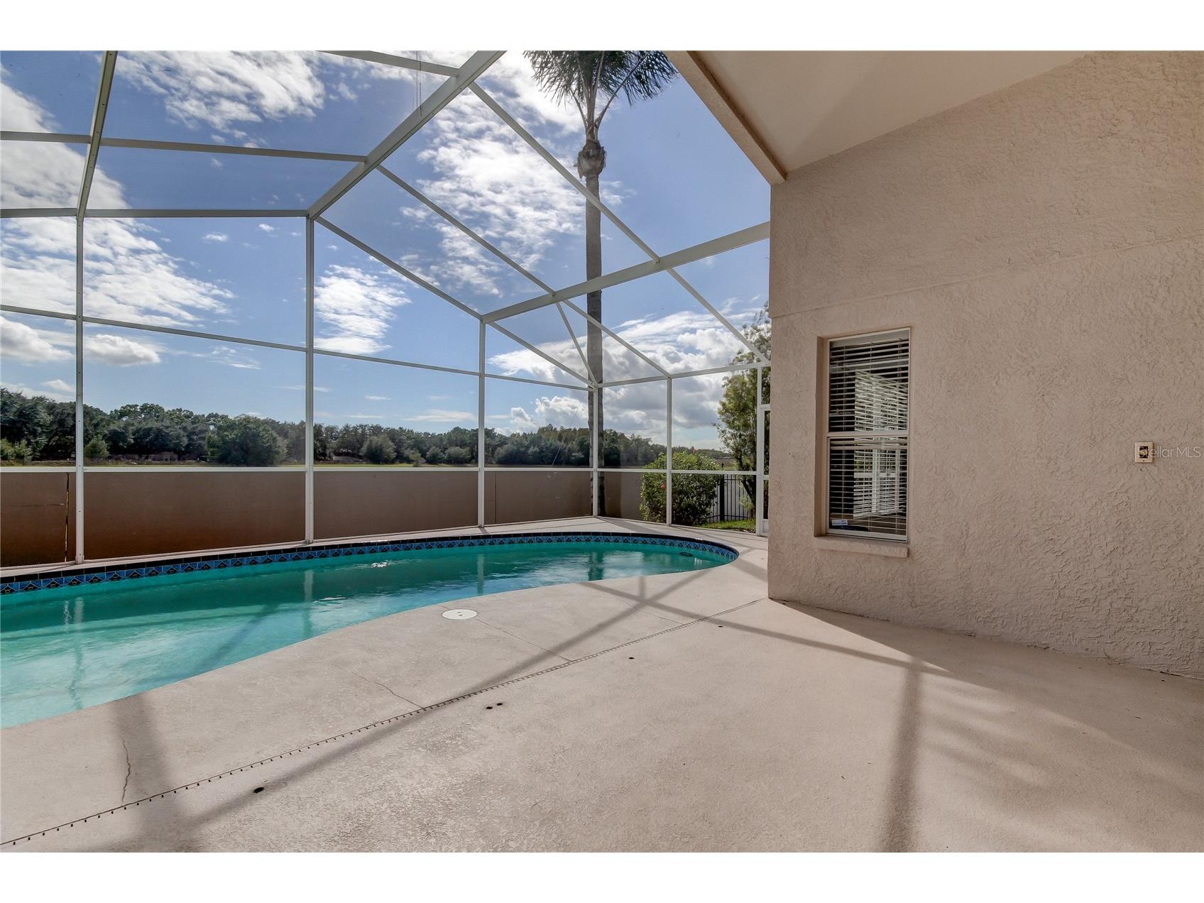 18829 Maisons Drive Lutz FL 33558 TB8513818 image45