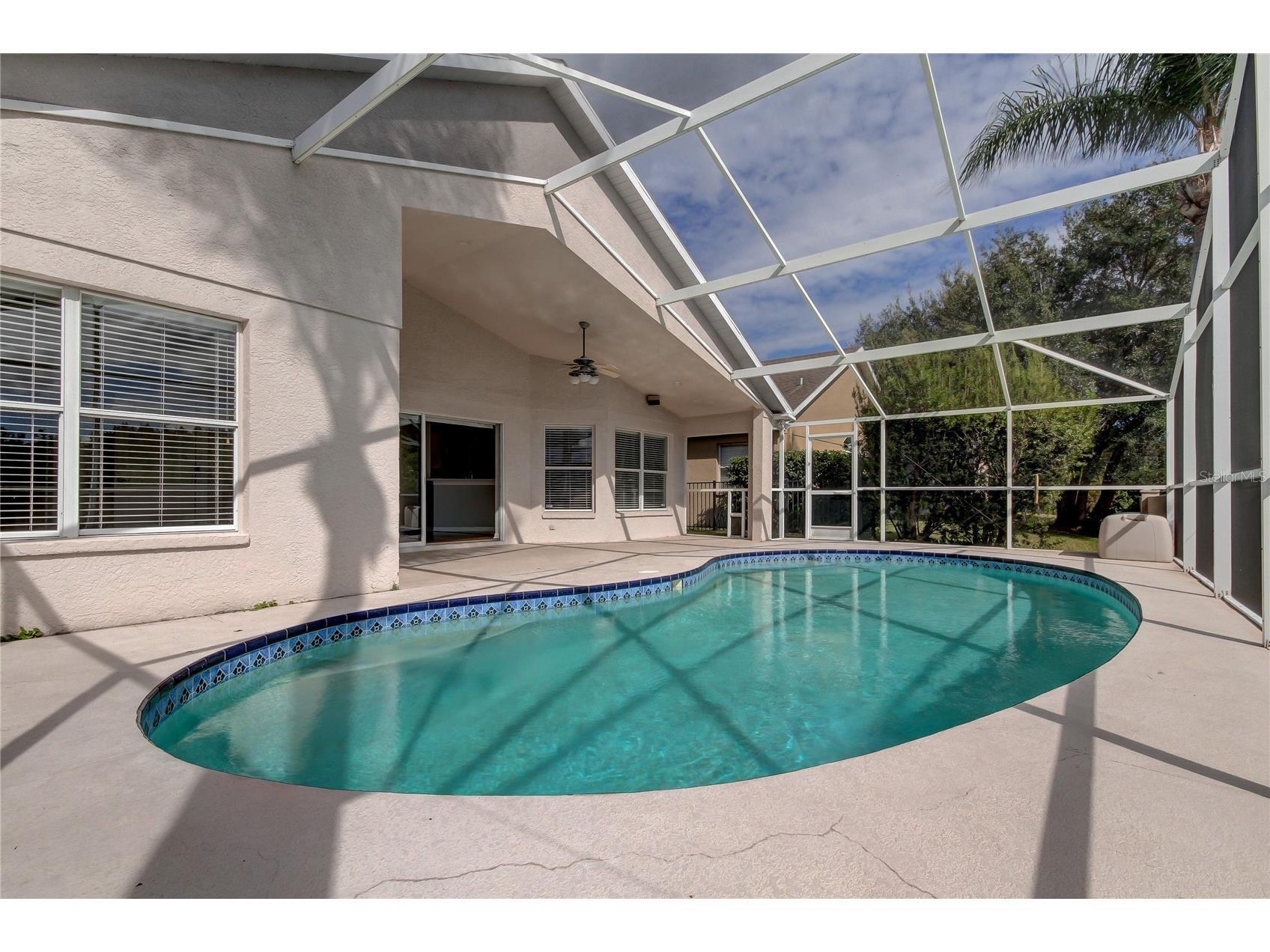 18829 Maisons Drive Lutz FL 33558 TB8513818 image49