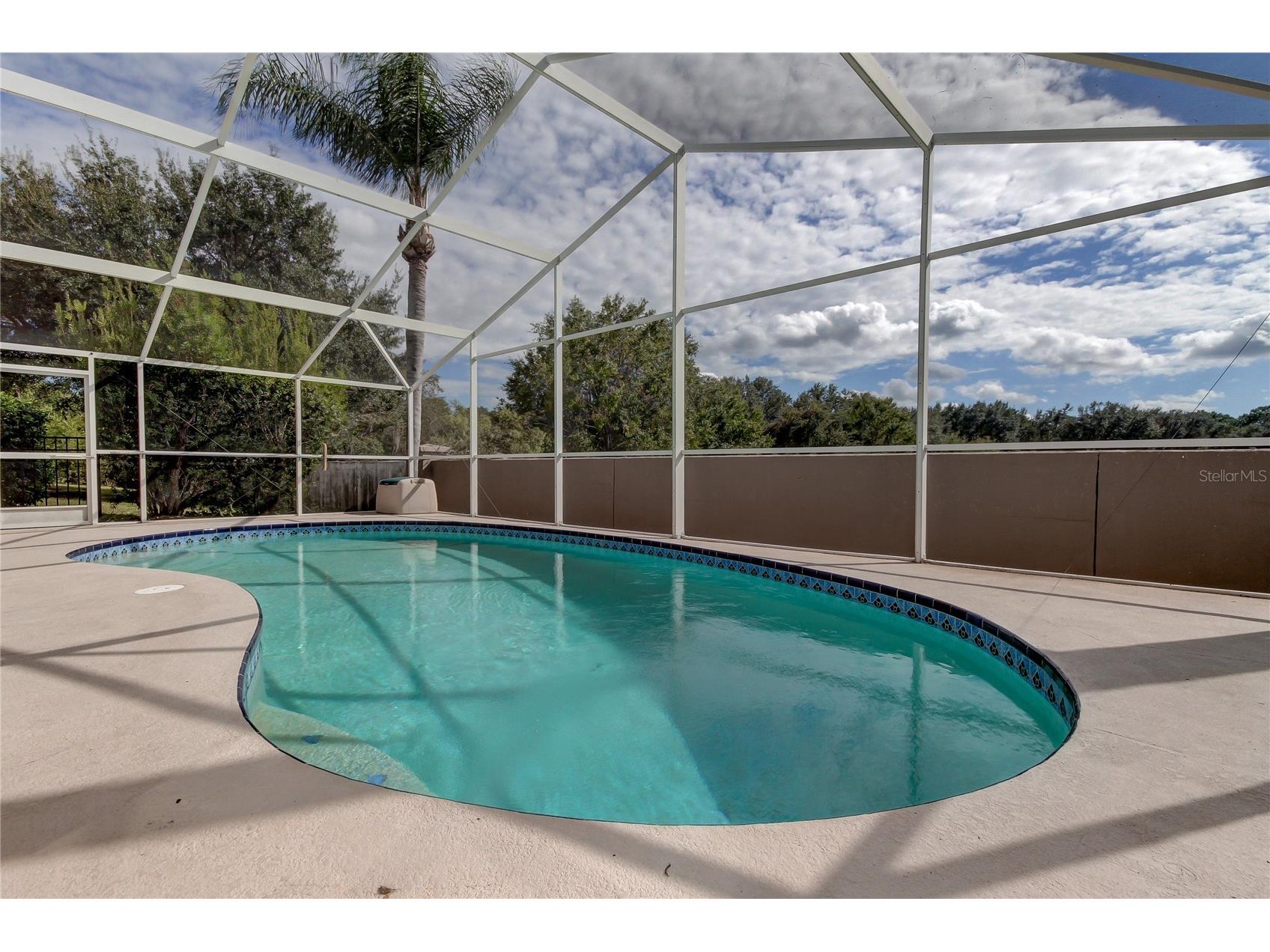 18829 Maisons Drive Lutz FL 33558 TB8513818 image50