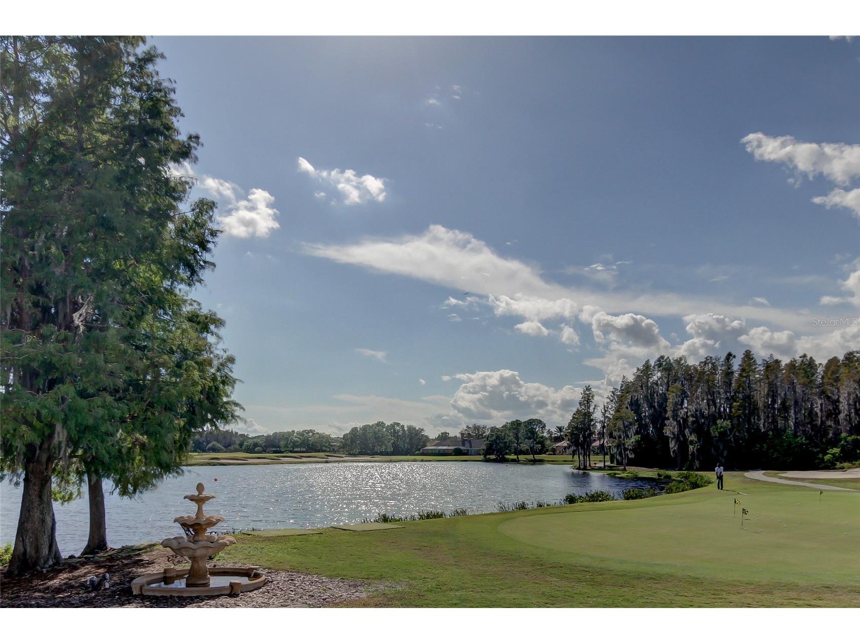 18829 Maisons Drive Lutz FL 33558 TB8513818 image54