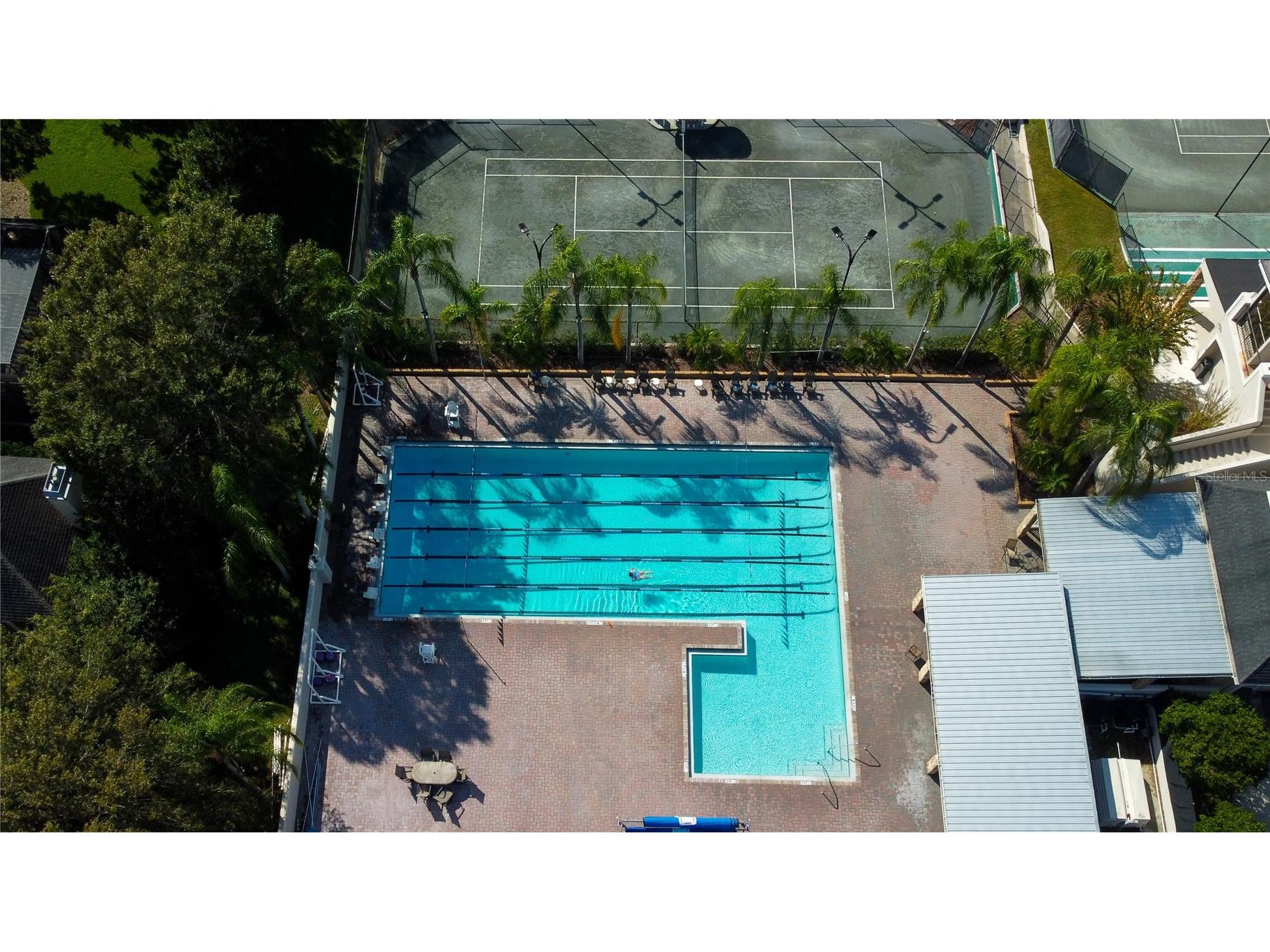 18829 Maisons Drive Lutz FL 33558 TB8513818 image58