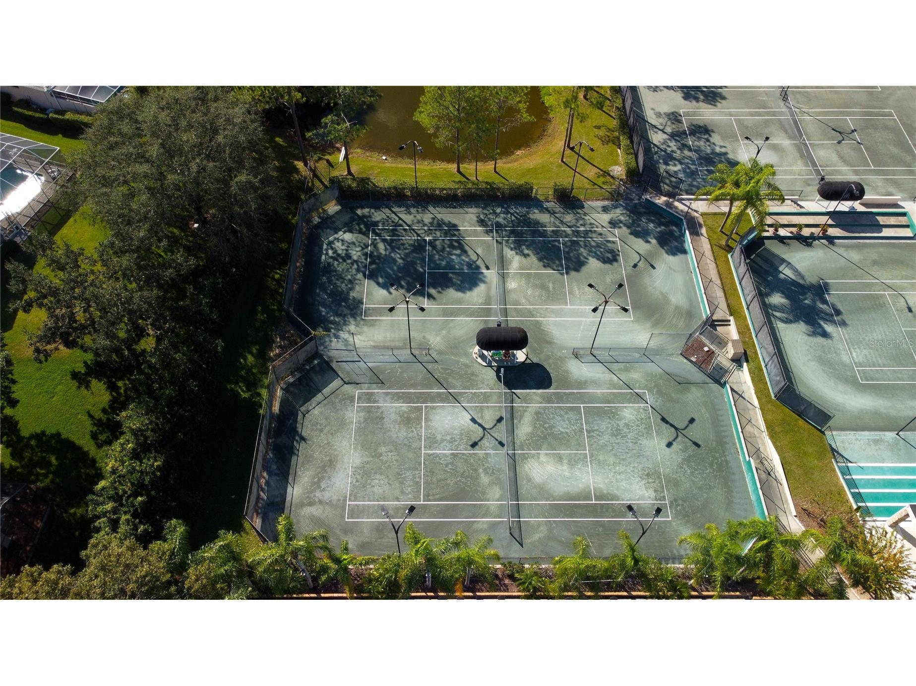 18829 Maisons Drive Lutz FL 33558 TB8513818 image59