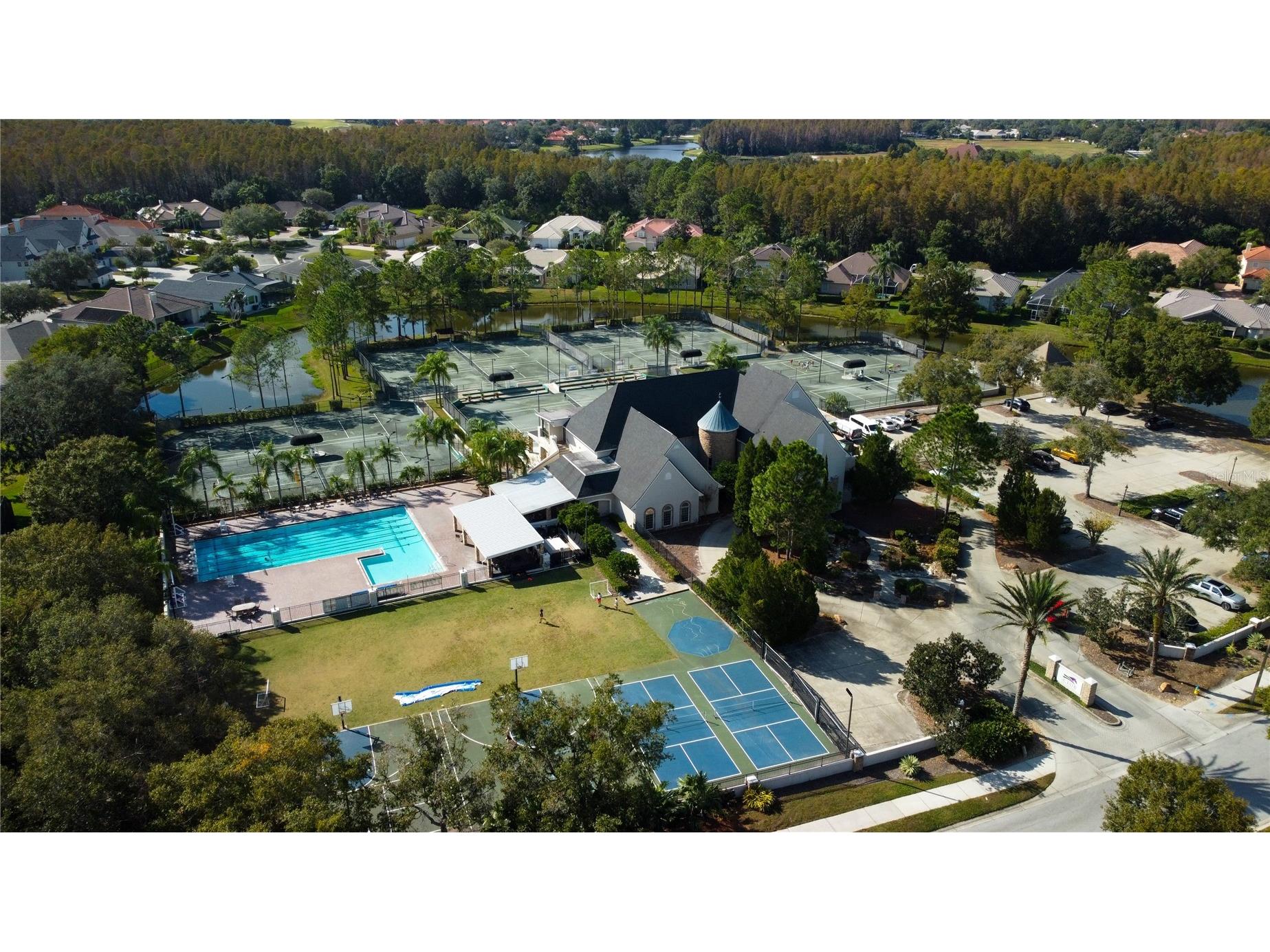 18829 Maisons Drive Lutz FL 33558 TB8513818 image65