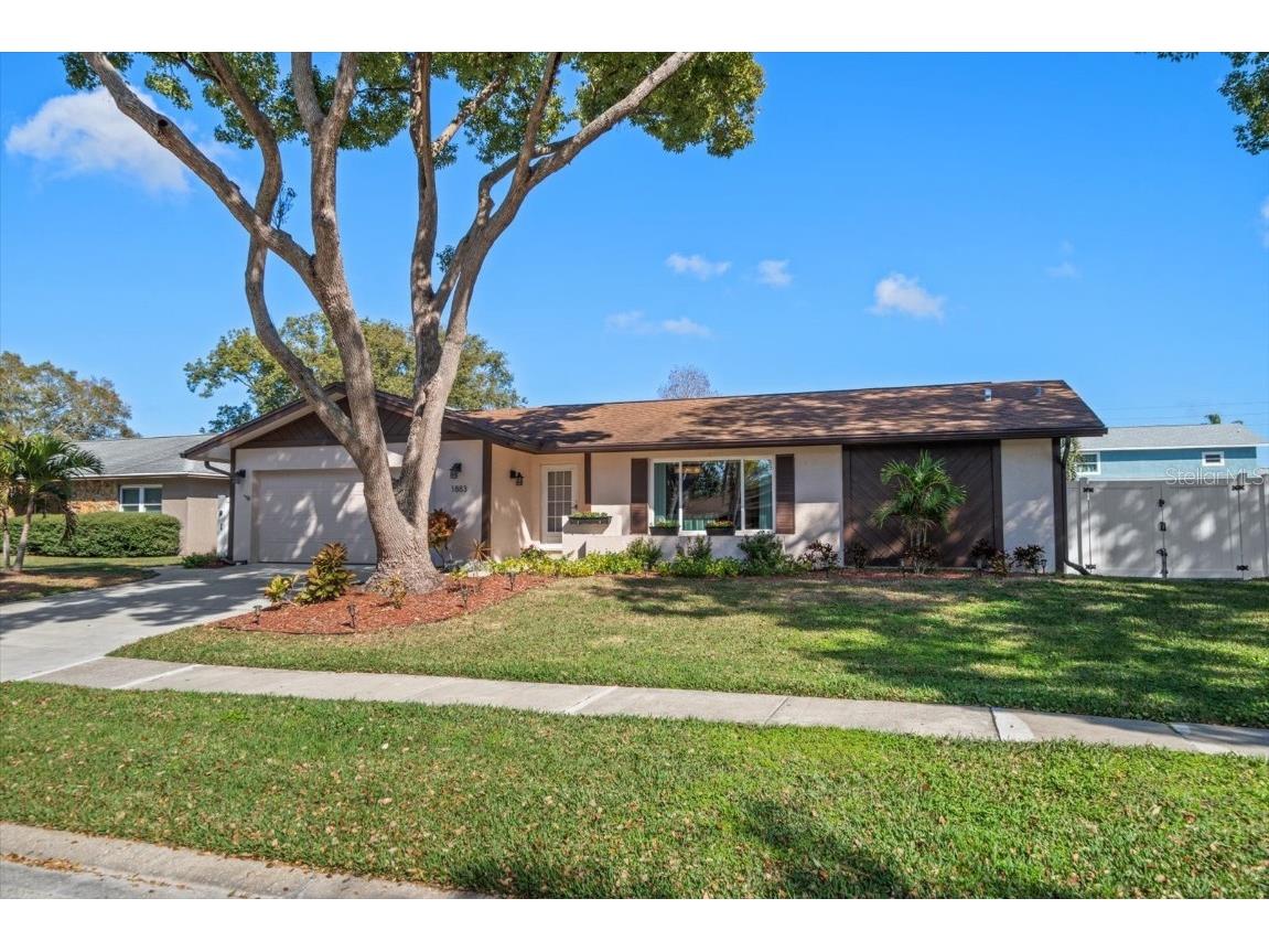 1883 Brae Moor Drive Dunedin FL 34698 TB8348641 image1