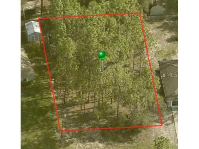 1883 W Oliver Drive Citrus Springs FL 34434 A4599106 image1