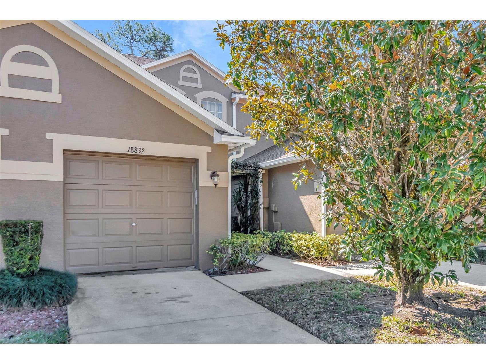 18832 Duquesne Drive Tampa FL 33647 TB8472545 image1