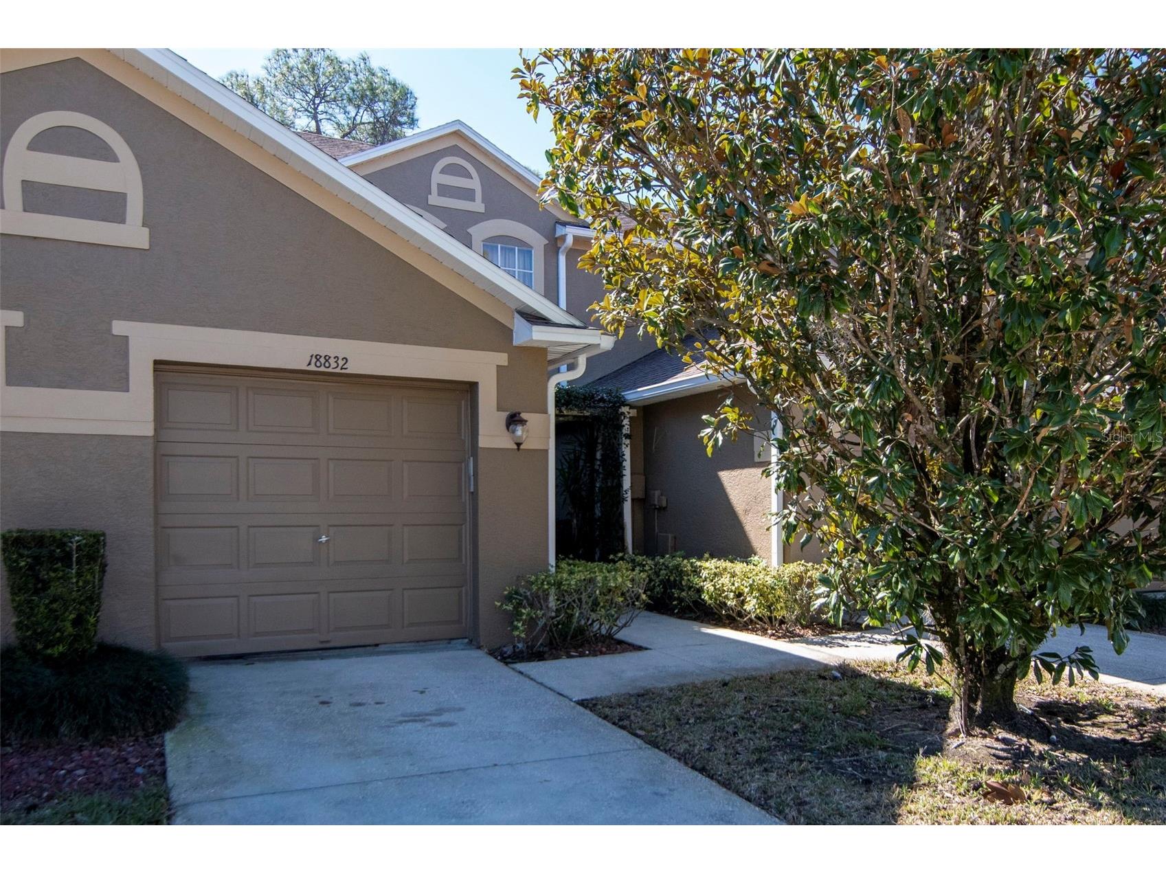 18832 Duquesne Drive Tampa FL 33647 TB8472545 image2