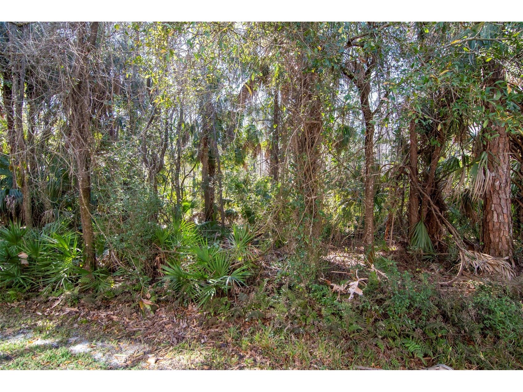 18832 Duquesne Drive Tampa FL 33647 TB8472545 image31