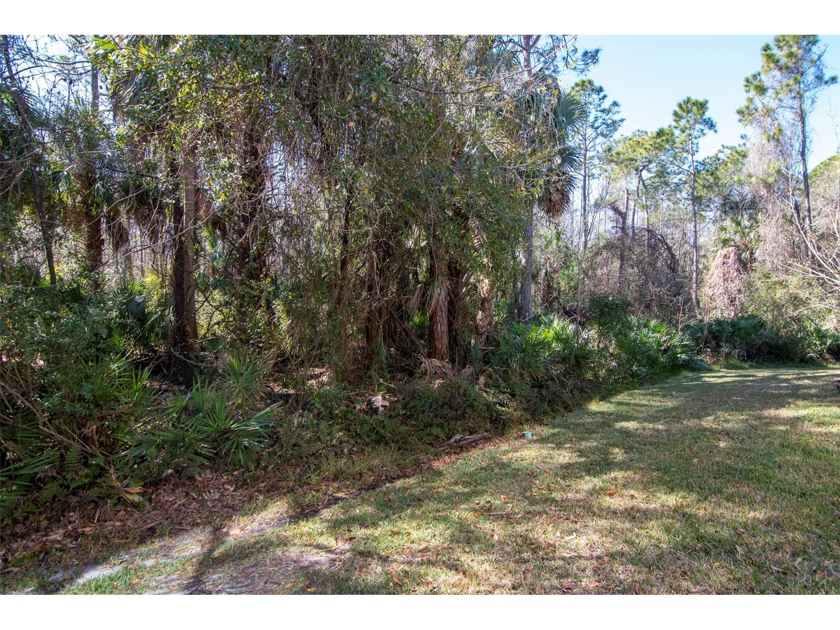 18832 Duquesne Drive Tampa FL 33647 TB8472545 image34