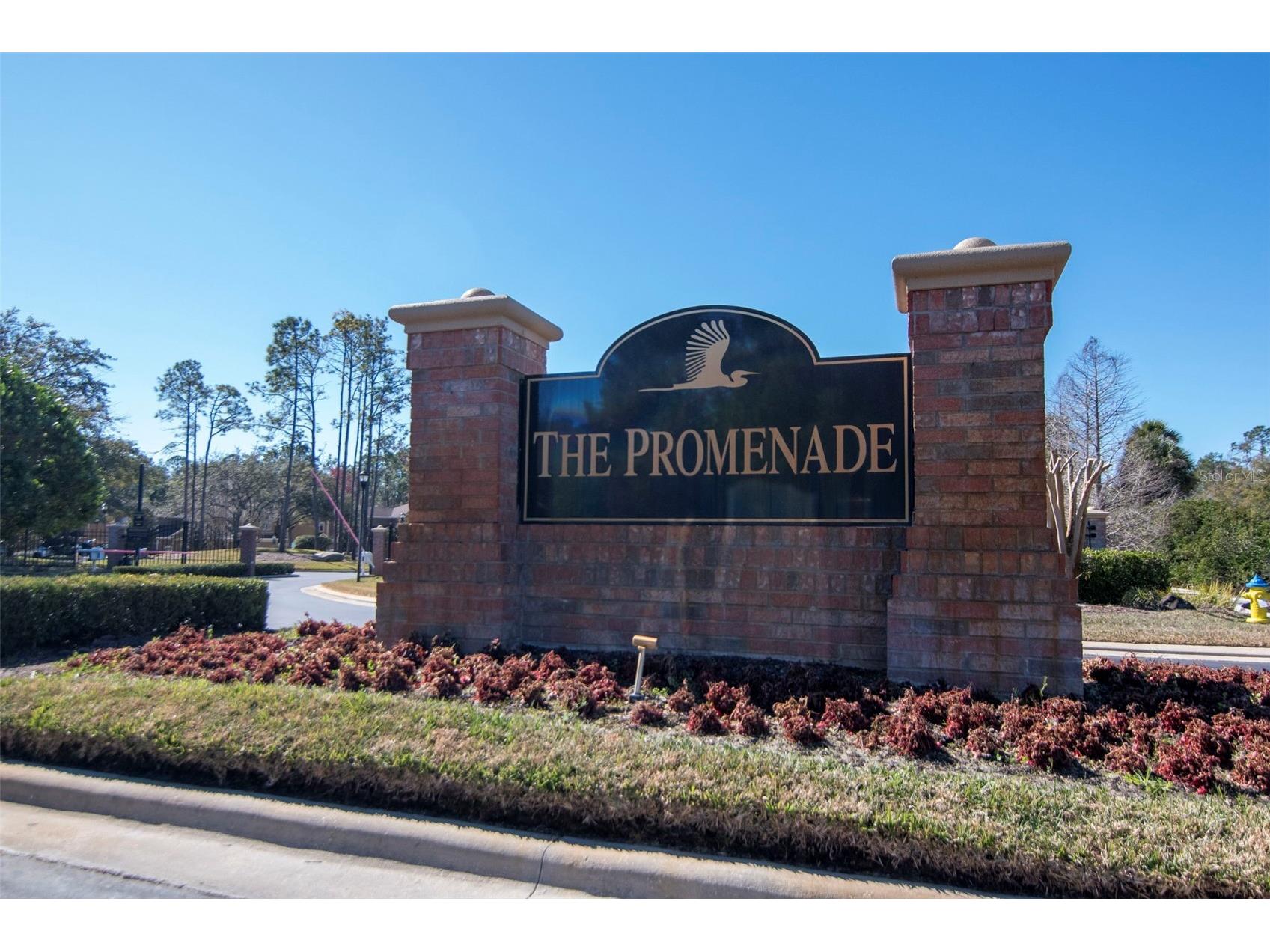 18832 Duquesne Drive Tampa FL 33647 TB8472545 image49