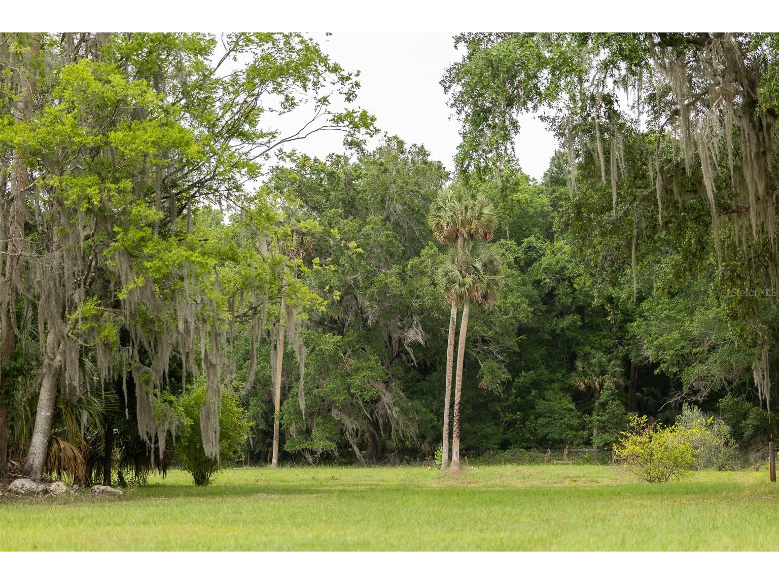 18833 NE 24th Avenue Citra FL 32113 OM725201 image10