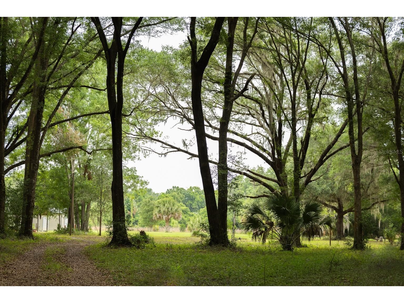 18833 NE 24th Avenue Citra FL 32113 OM725201 image12