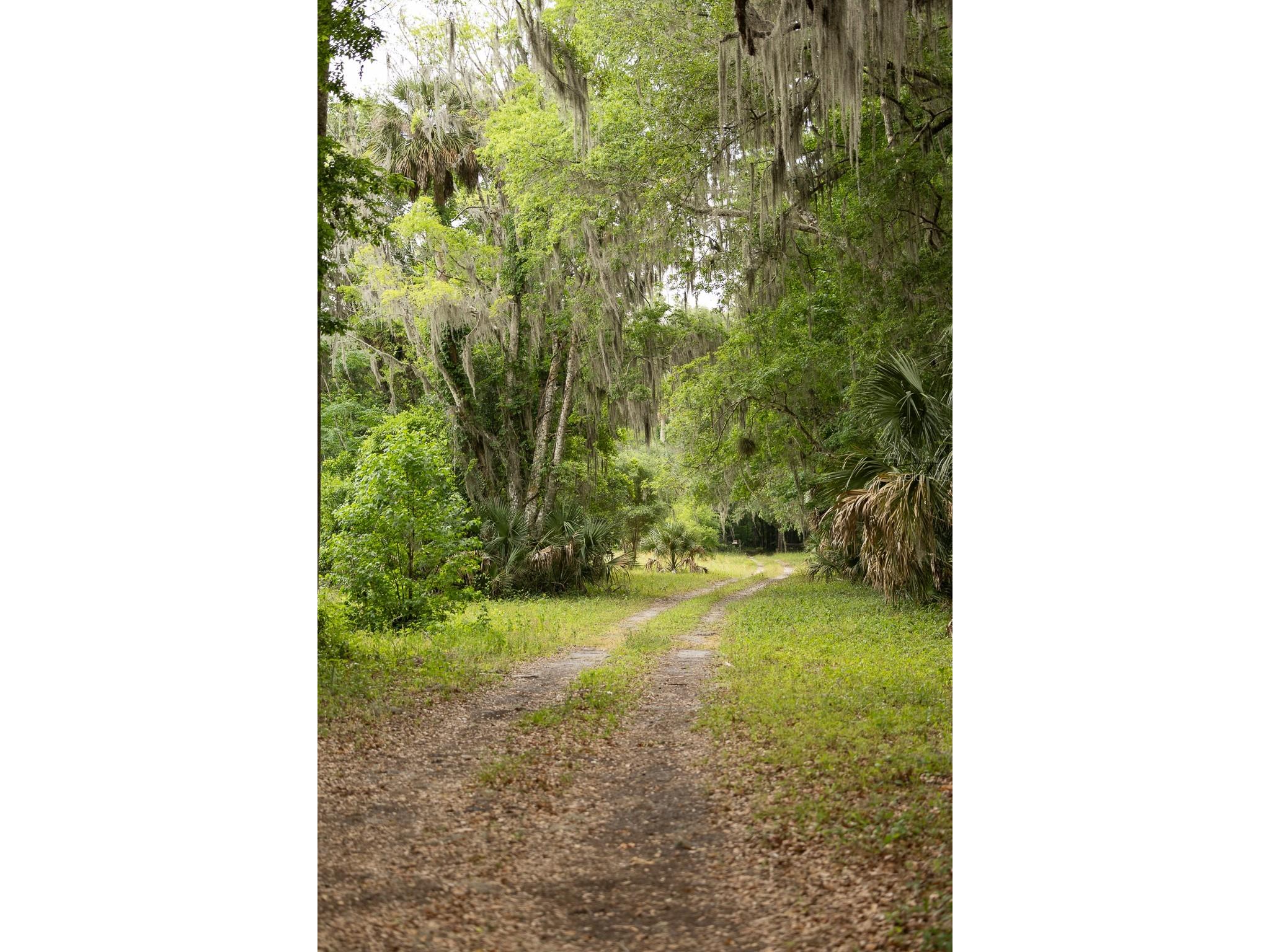 18833 NE 24th Avenue Citra FL 32113 OM725201 image13