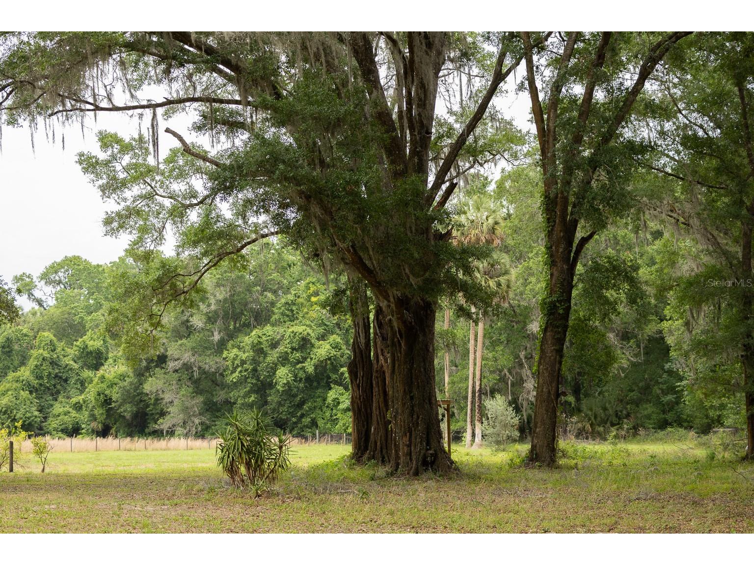 18833 NE 24th Avenue Citra FL 32113 OM725201 image14