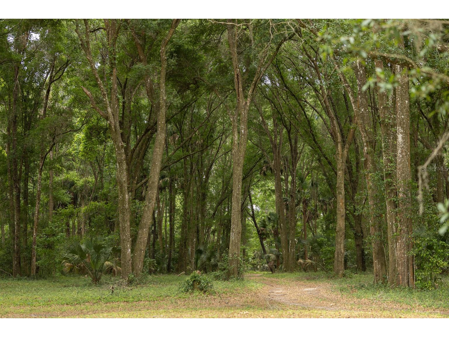 18833 NE 24th Avenue Citra FL 32113 OM725201 image15