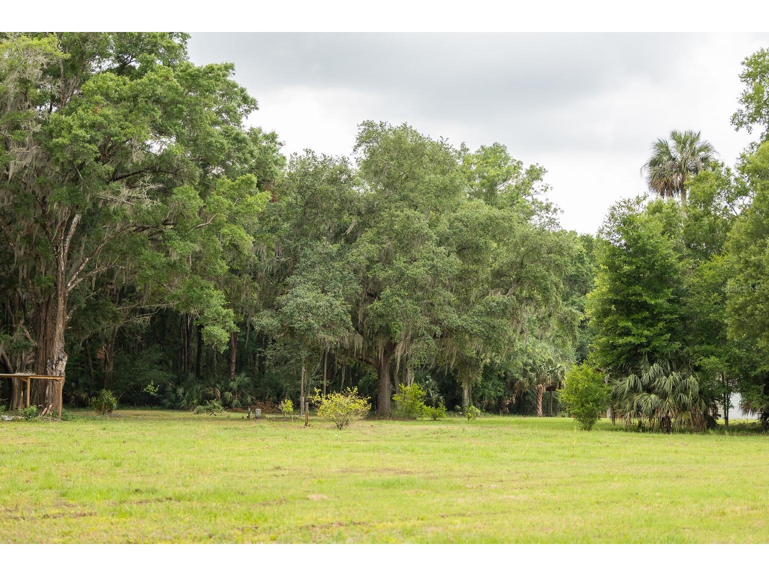 18833 NE 24th Avenue Citra FL 32113 OM725201 image3