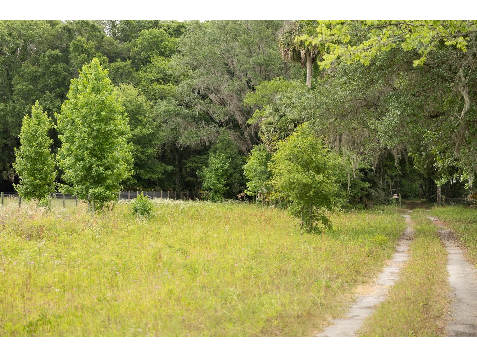 18833 NE 24th Avenue Citra FL 32113 OM725201 image4