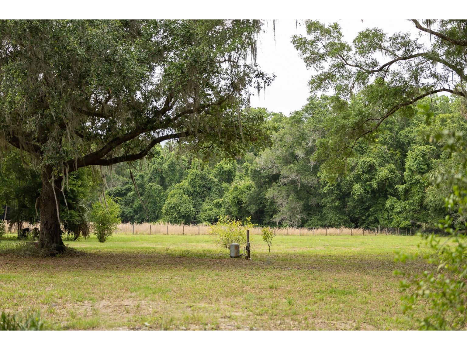 18833 NE 24th Avenue Citra FL 32113 OM725201 image6