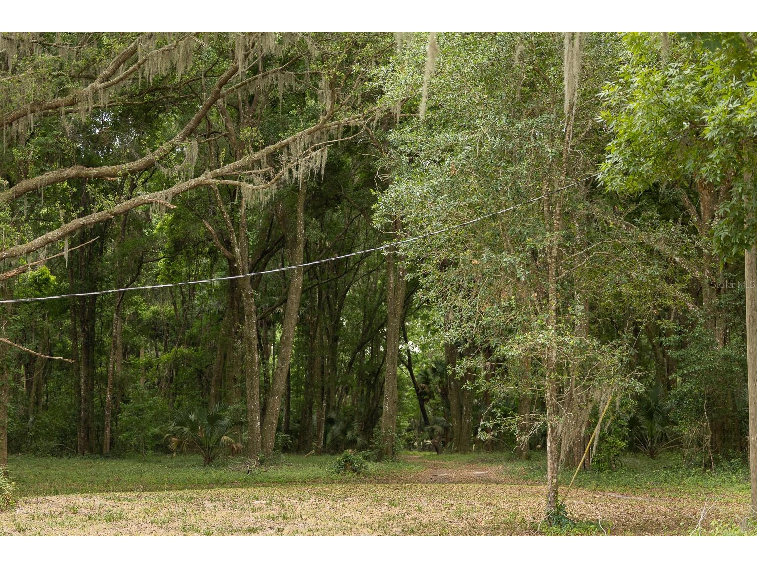 18833 NE 24th Avenue Citra FL 32113 OM725201 image7