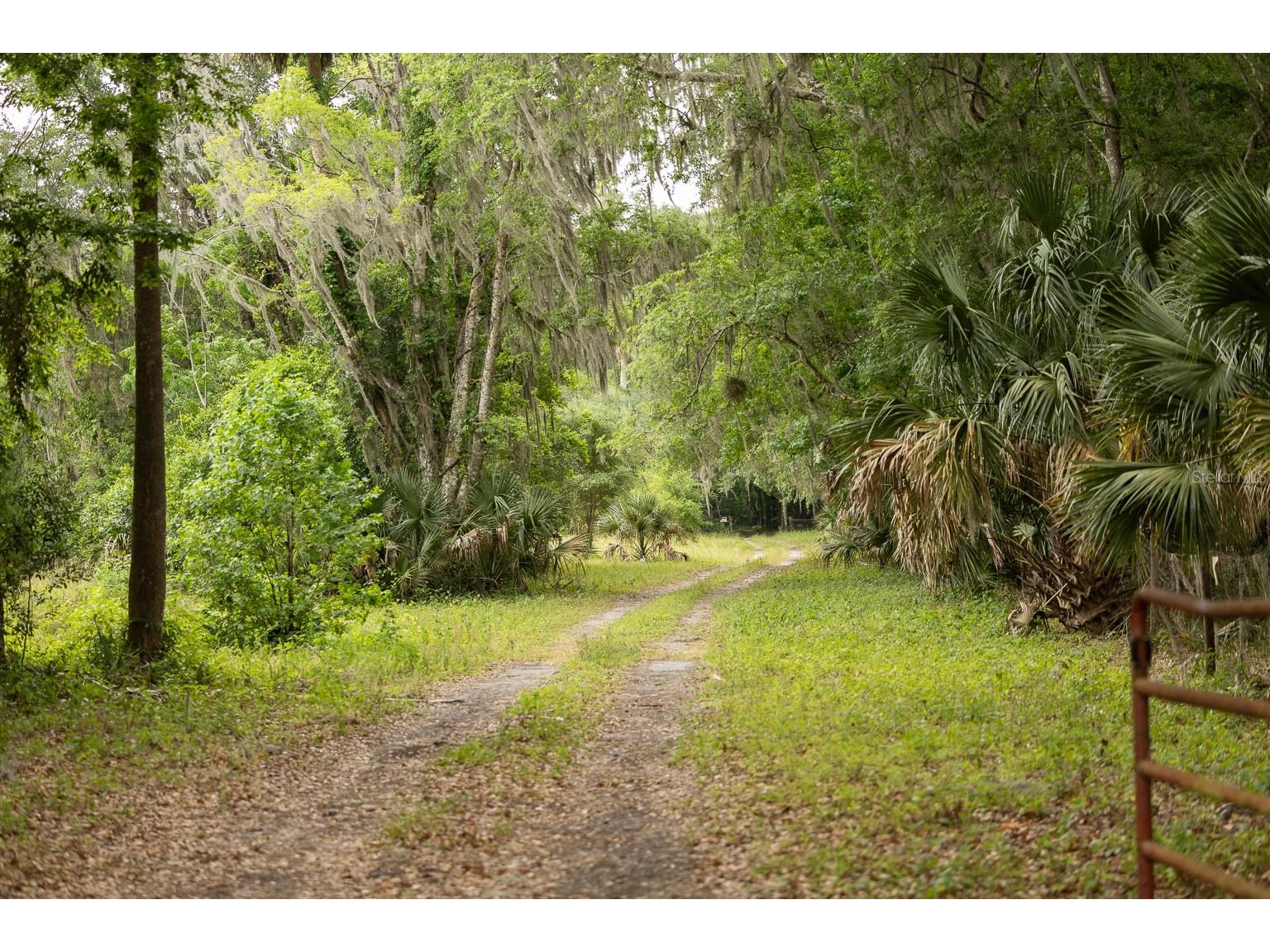 18833 NE 24th Avenue Citra FL 32113 OM725201 image8