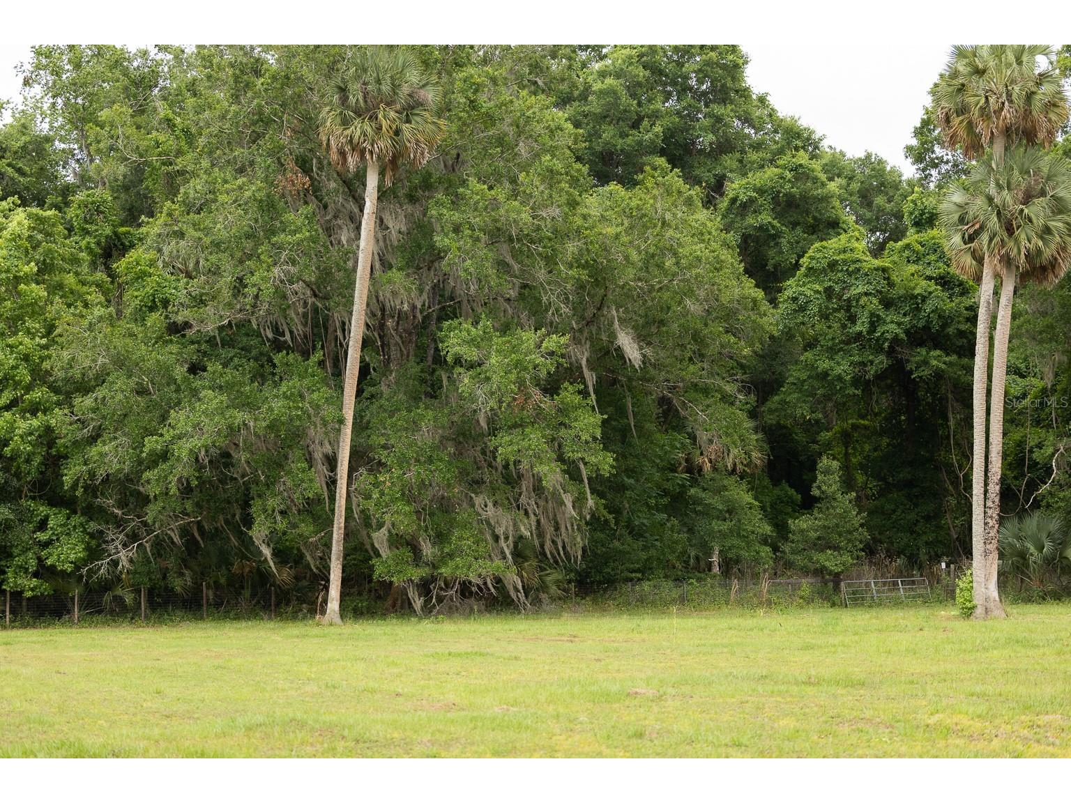 18833 NE 24th Avenue Citra FL 32113 OM725201 image9