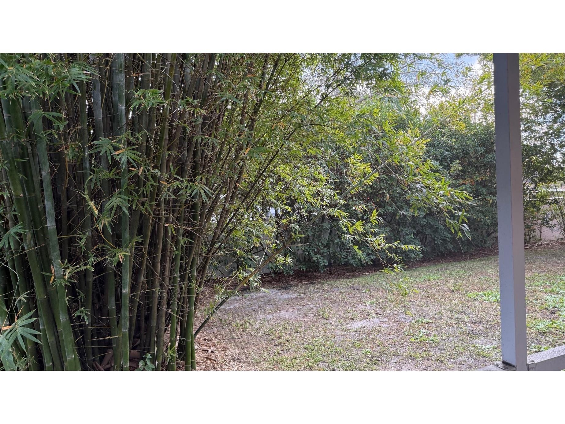 18835 Maisons Drive Lutz FL 33558 TB8455535 image15