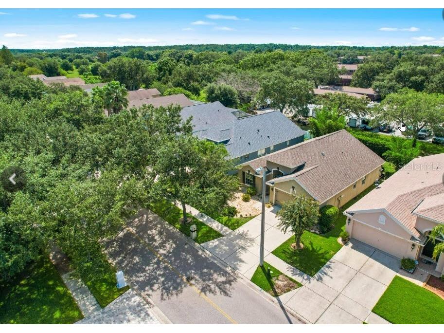 18835 Maisons Drive Lutz FL 33558 TB8455535 image16