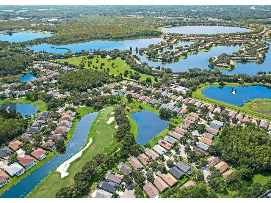 18835 Maisons Drive Lutz FL 33558 TB8455535 image17