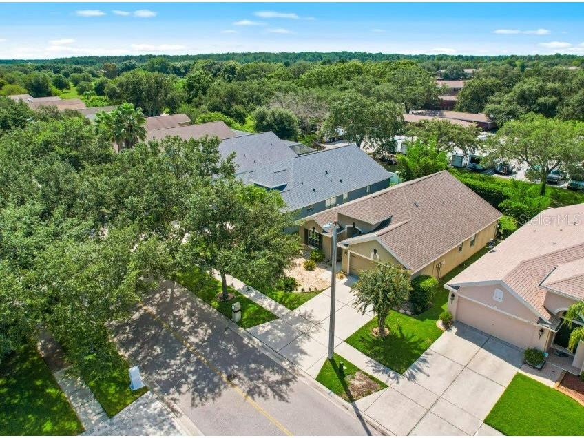 18835 Maisons Drive Lutz FL 33558 TB8455535 image22