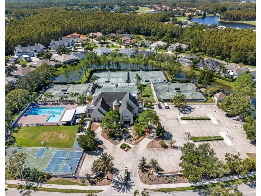 18835 Maisons Drive Lutz FL 33558 TB8455535 image23