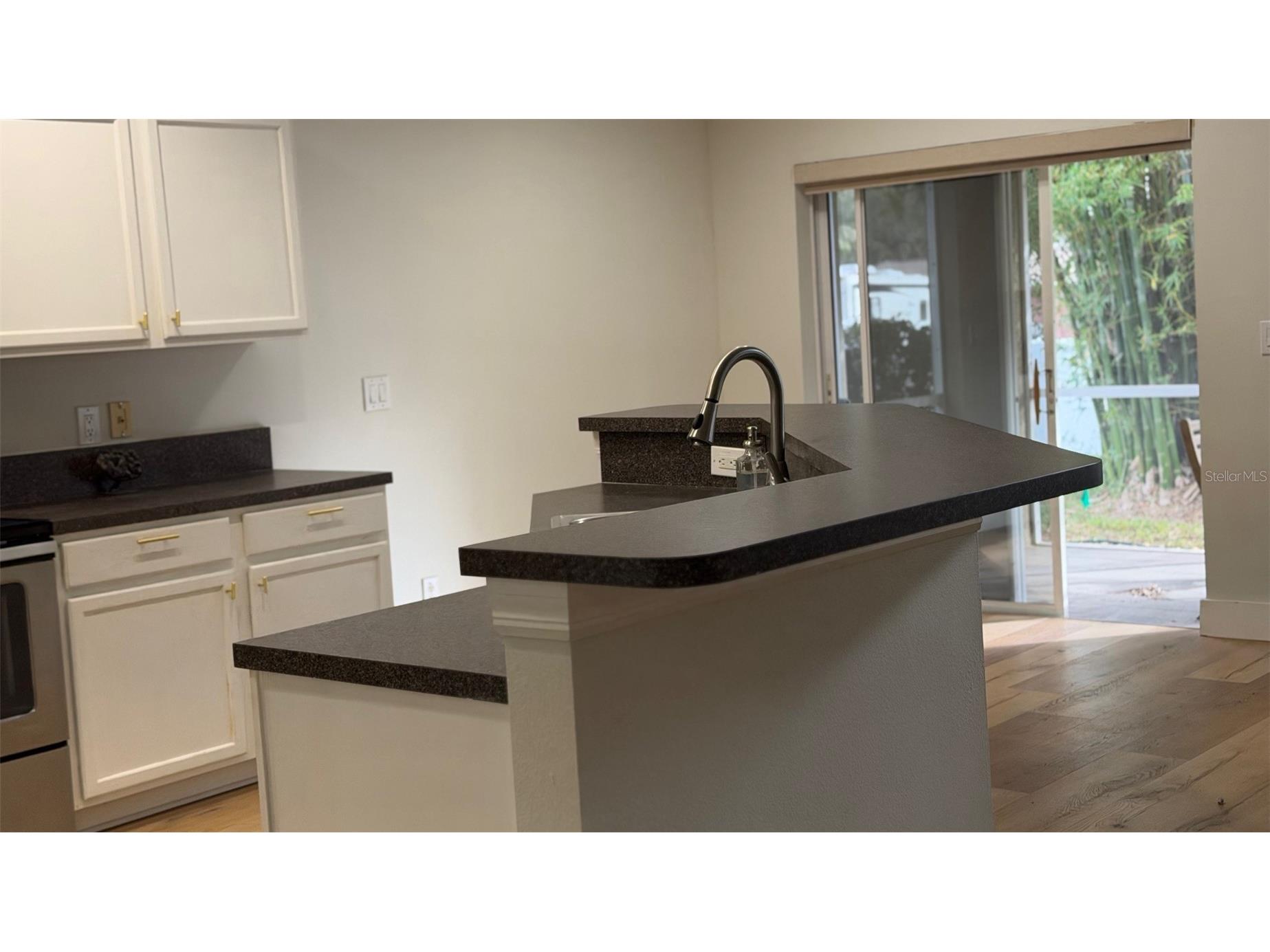 18835 Maisons Drive Lutz FL 33558 TB8455535 image9