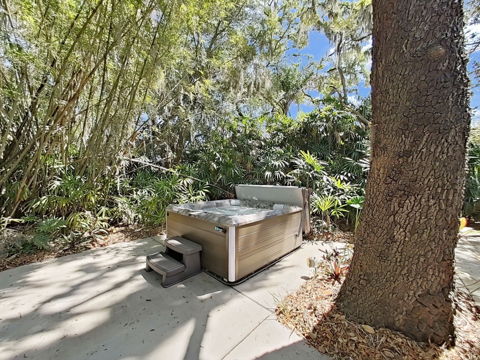 18835 Tracer Drive Lutz FL 33549 TB8499742 image57