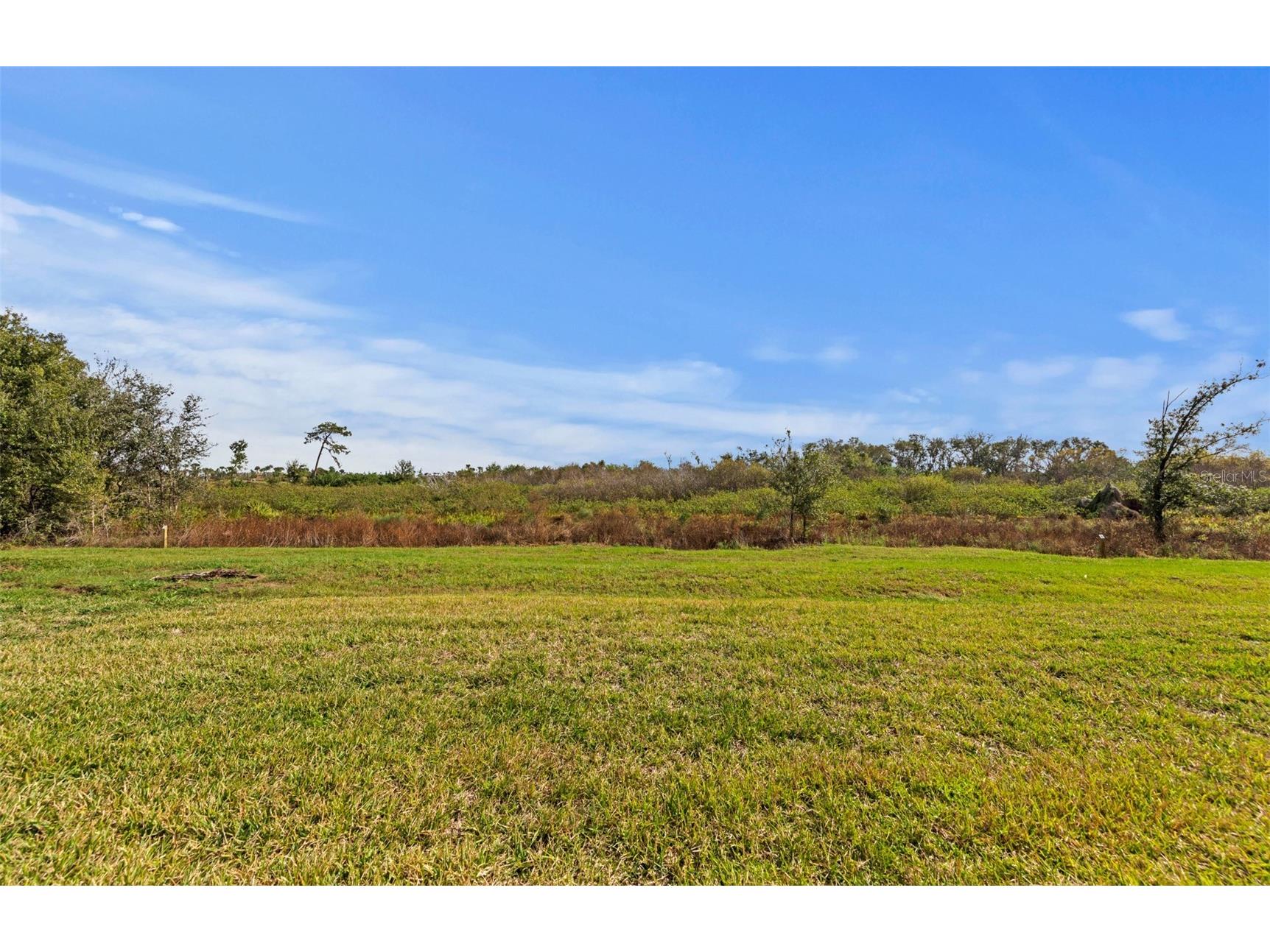 18836 Indian Rock Place Lakewood Ranch FL 34211 TB8474829 image34