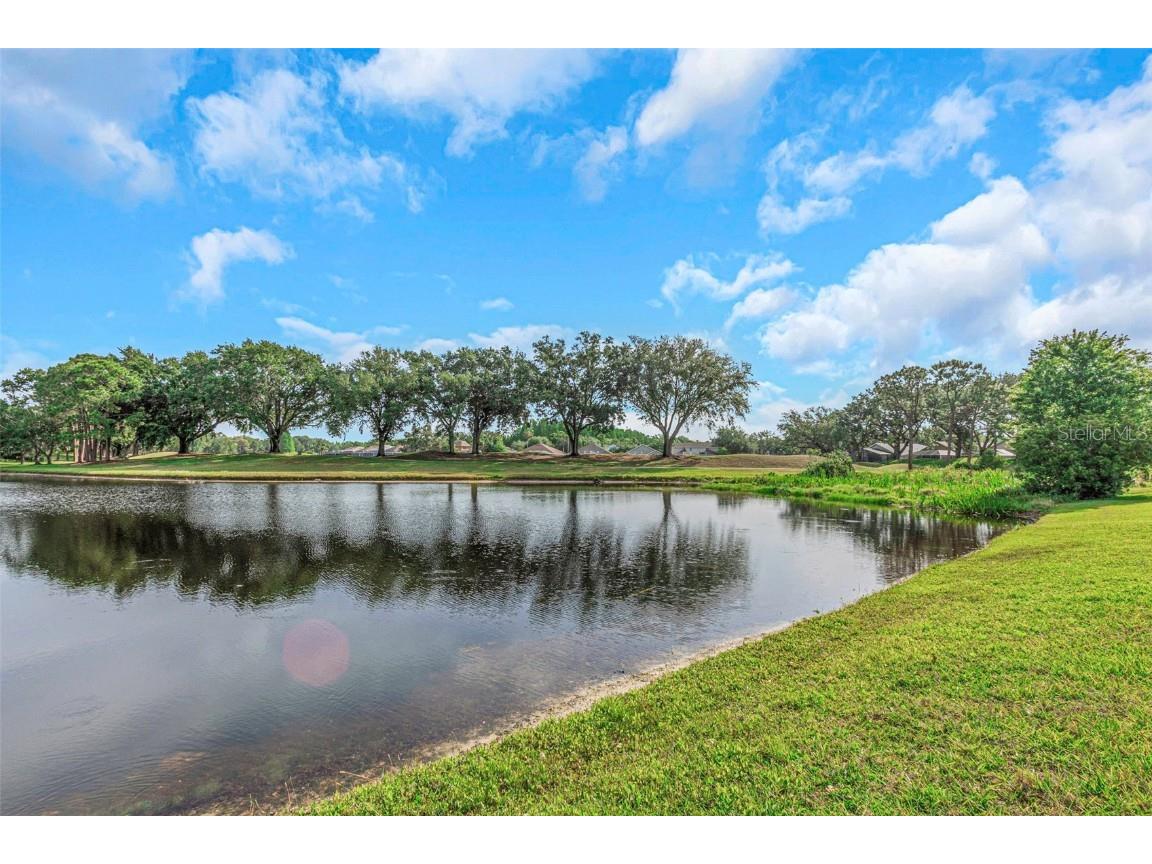 18836 Maisons Drive Lutz FL 33558 TB8457551 image16