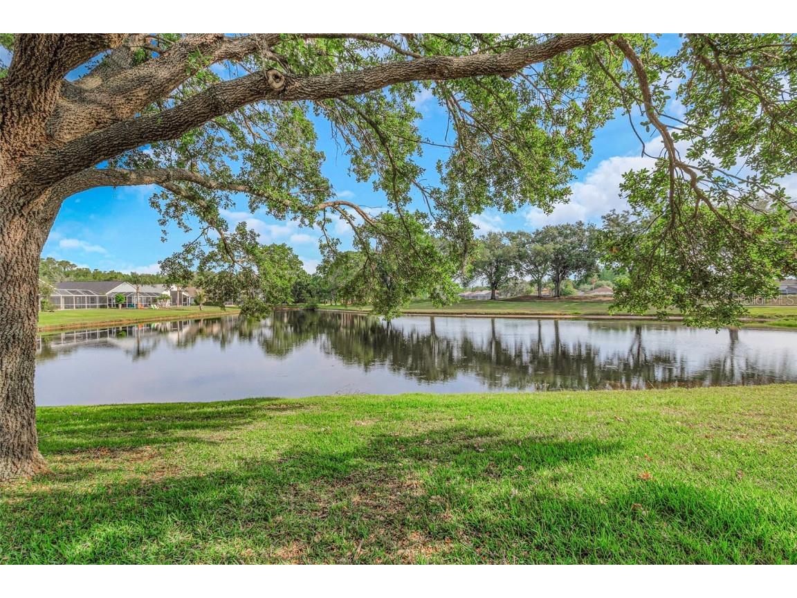 18836 Maisons Drive Lutz FL 33558 TB8457551 image63