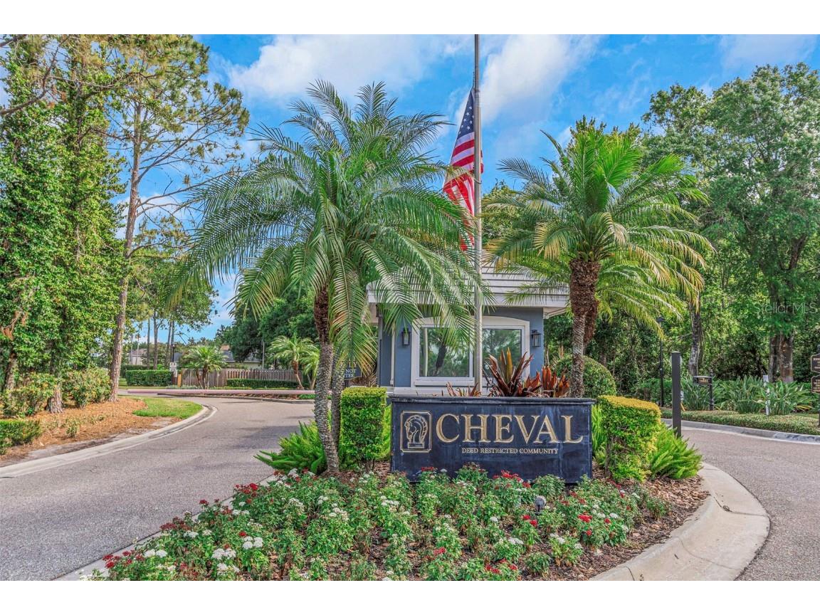 18836 Maisons Drive Lutz FL 33558 TB8457551 image76