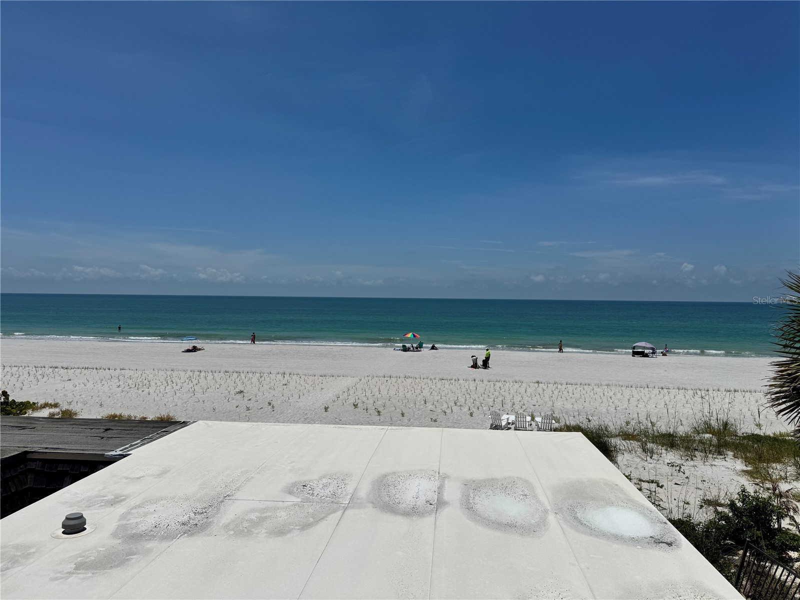 18838 Gulf Boulevard #202 Indian Shores FL 33785 TB8508857 image6